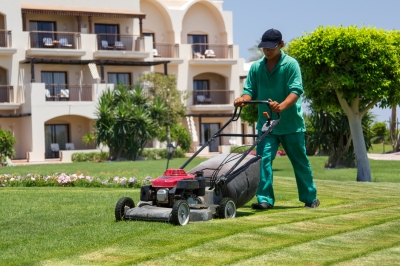 Lawn Mowing