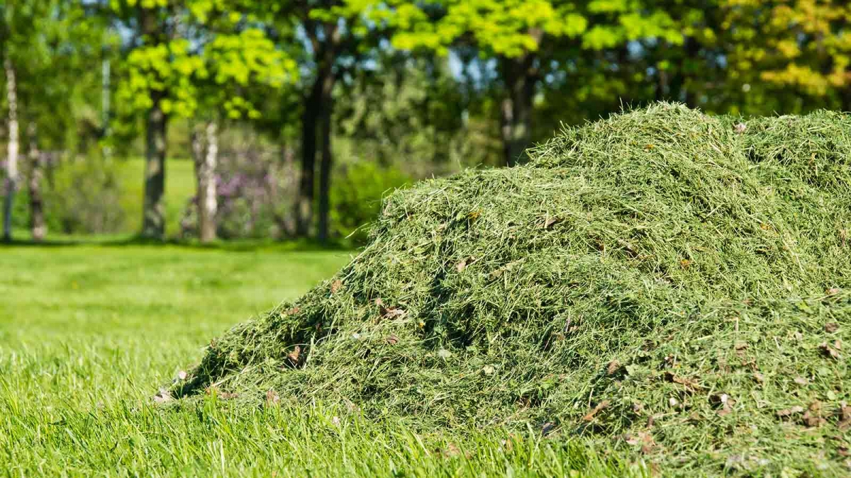 What to do With Your Lawn Clippings? Hempfield Small Motors